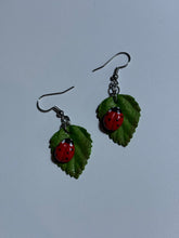Ladybug Earrings